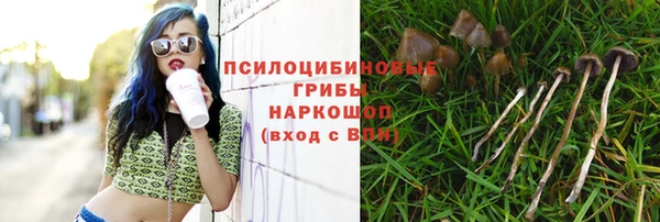 альфа пвп Ладушкин